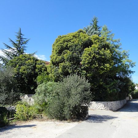 Apartment Villa Green Court Korčula Eksteriør billede
