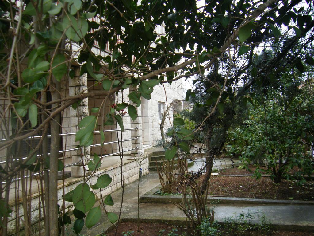 Apartment Villa Green Court Korčula Værelse billede